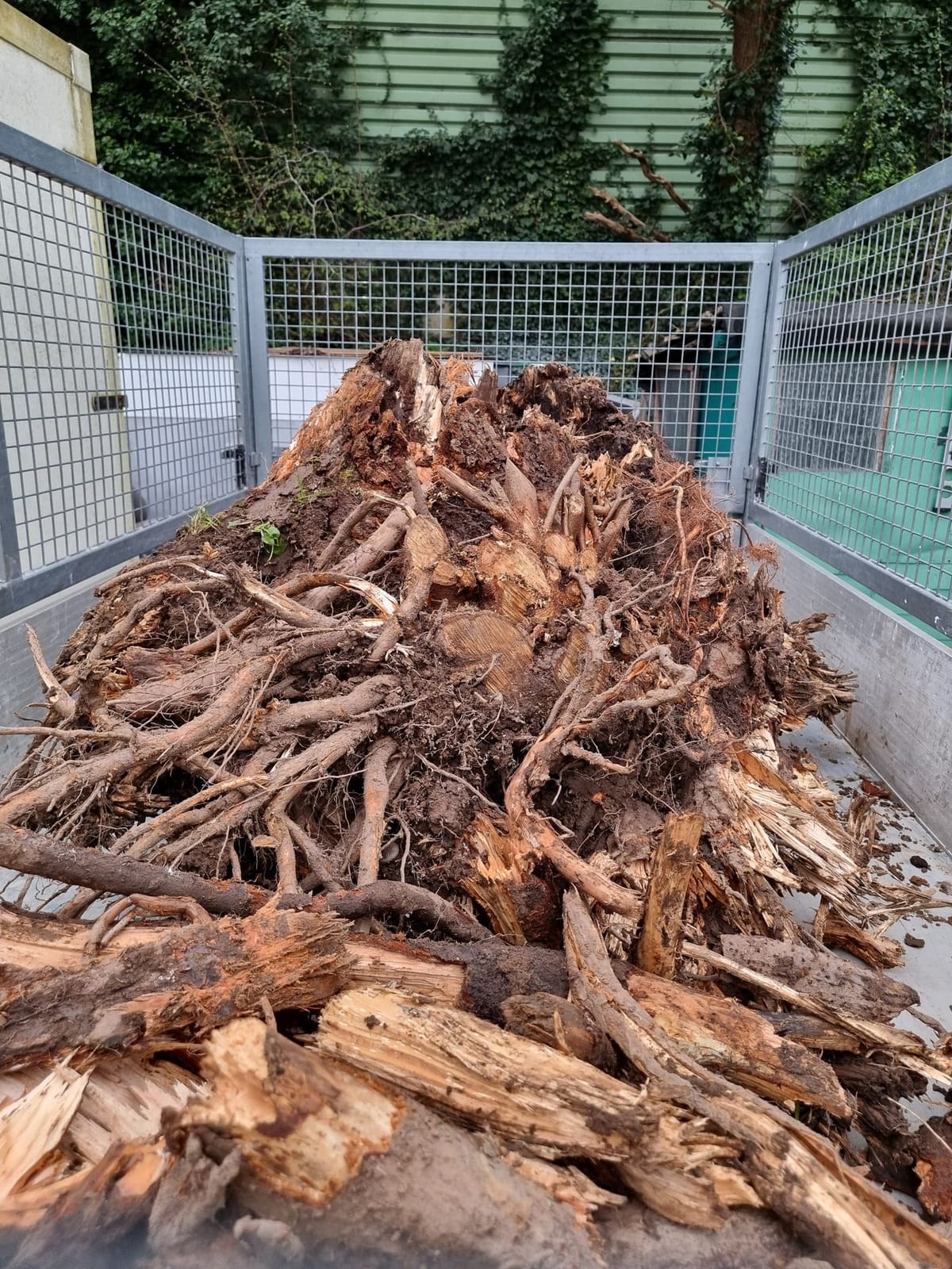 Baggerarbeiten 38