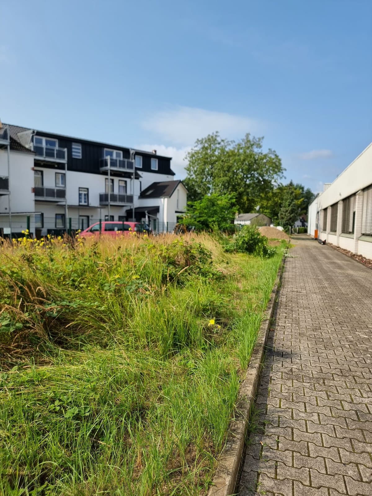 Baggerarbeiten 61