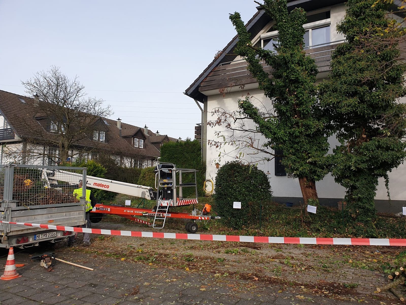 Baumpflege - Höhenarbeiten