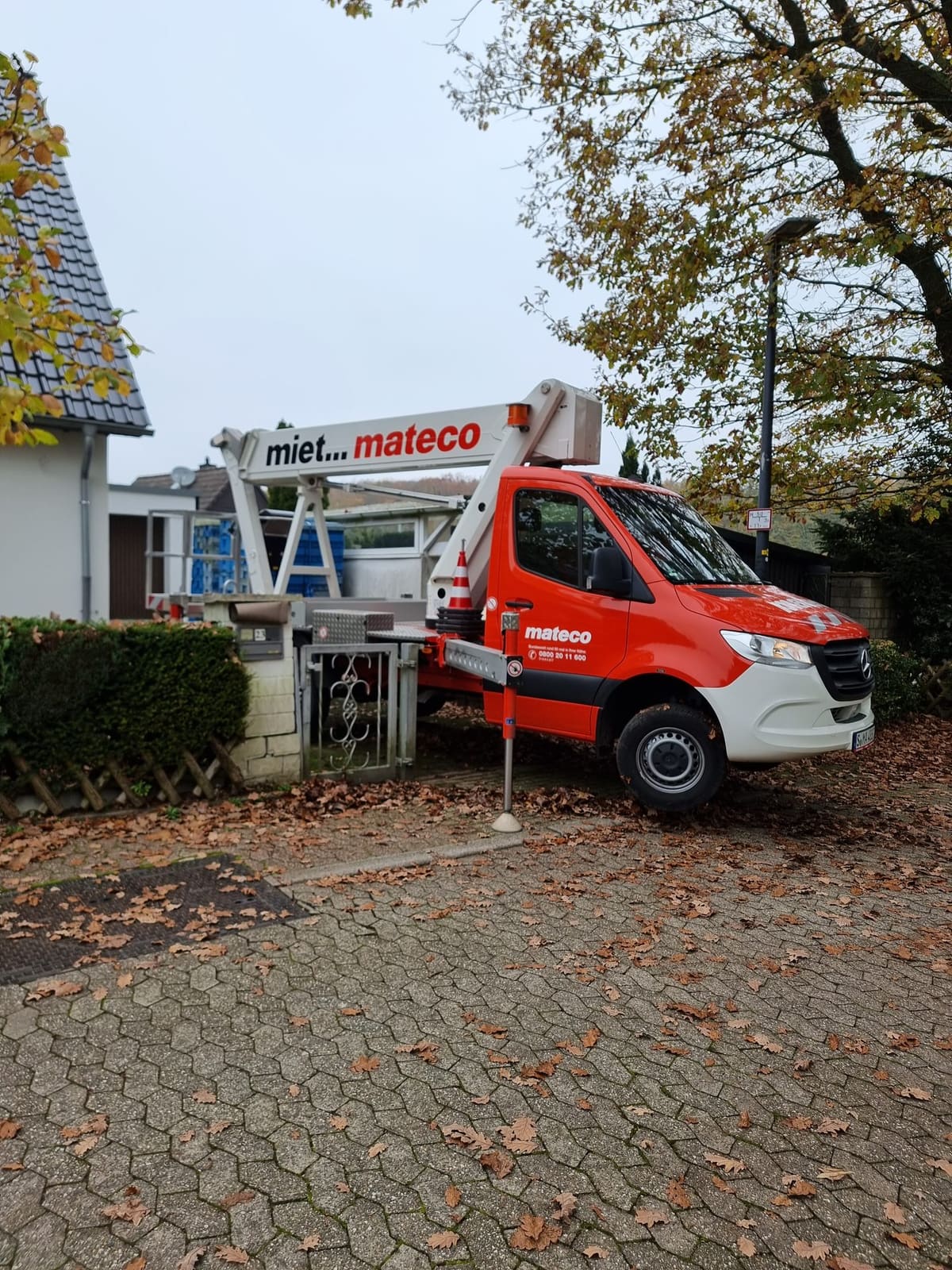 Baumpflege - Höhenarbeiten 9