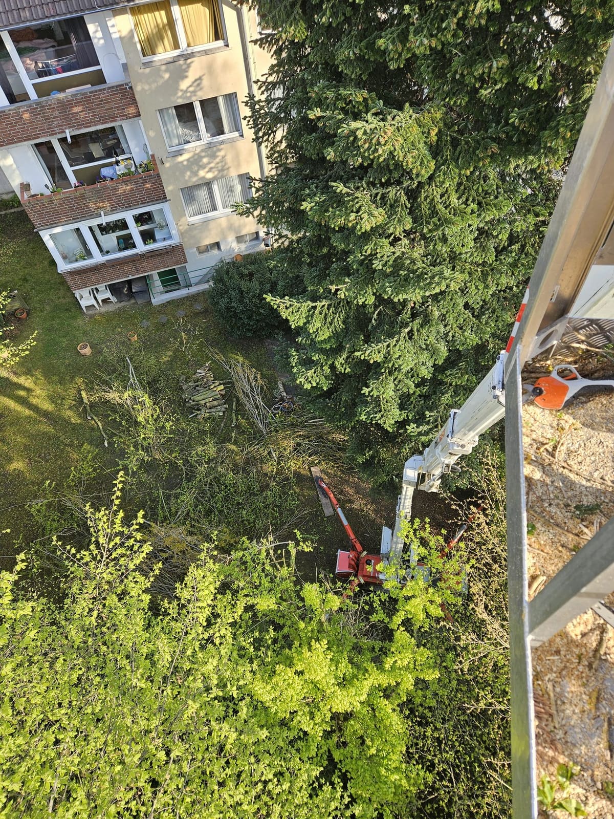 Baumpflege - Höhenarbeiten 15