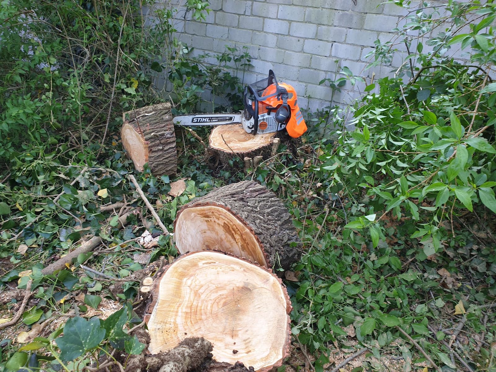 Gartenbau 30