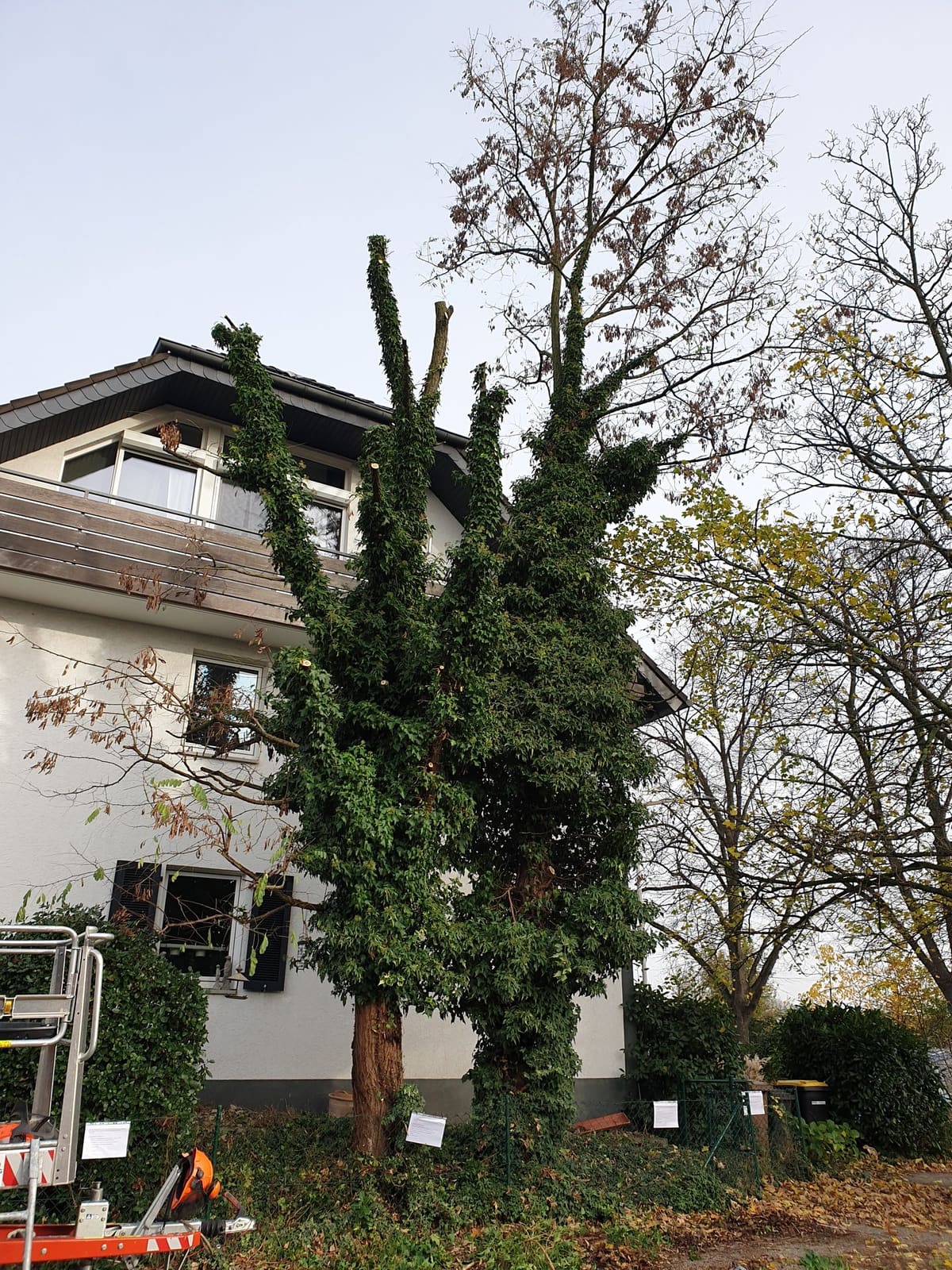 Gartenbau 37