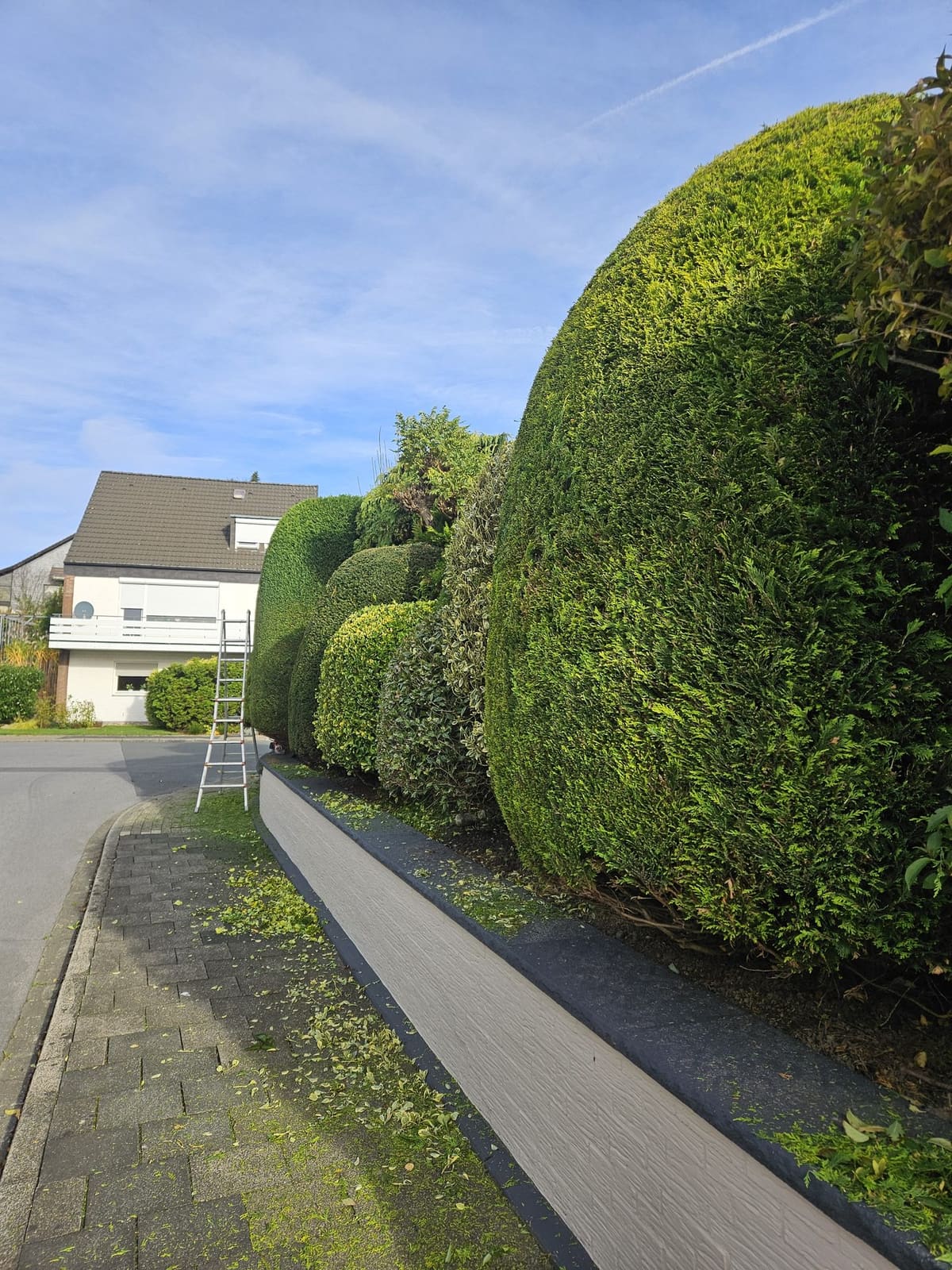 Gartenbau 43