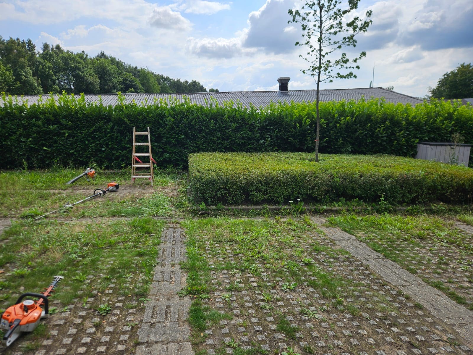 Gartenbau 59